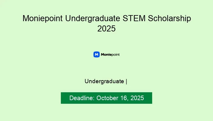 Moniepoint Undergraduate STEM Scholarship 2025