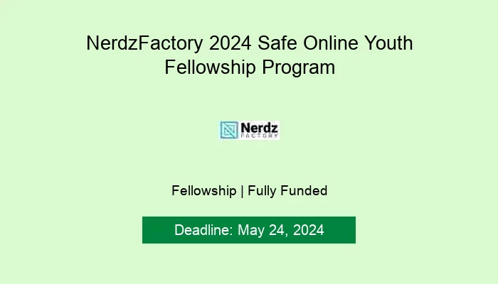 NerdzFactory 2024 Safe Online Youth Fellowship Program