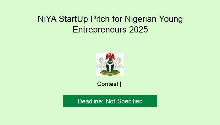NiYA StartUp Pitch for Nigerian Young Entrepreneurs 2025