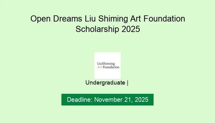 Open Dreams Liu Shiming Art Foundation Scholarship 2025