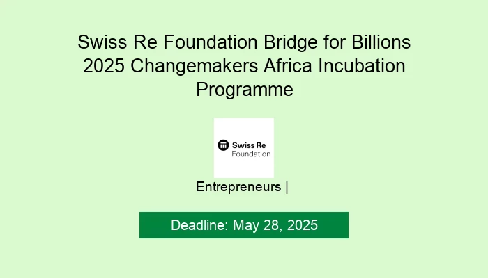 Swiss Re Foundation Bridge for Billions 2025 Changemakers Africa Incubation Programme