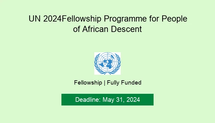 UN 2024 Fellowship Programme for People of African Descent