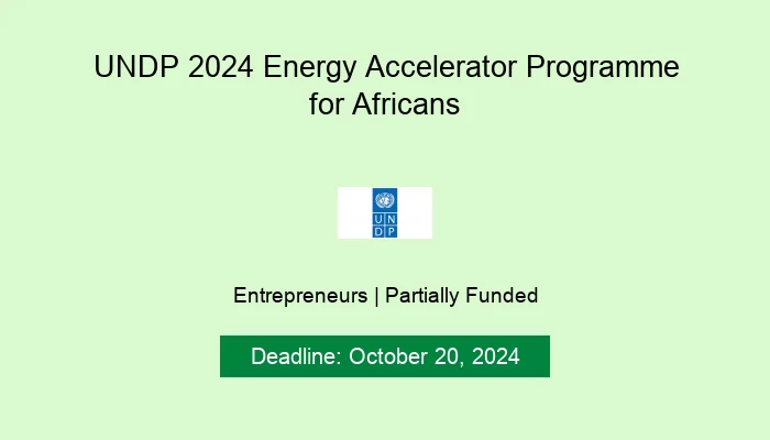 UNDP 2024 Energy Accelerator Programme for Africans