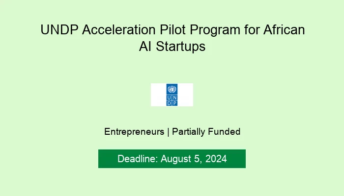 UNDP Acceleration Pilot Program for African AI Startups 2024