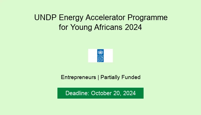 UNDP Energy Accelerator Programme for Young Africans 2024