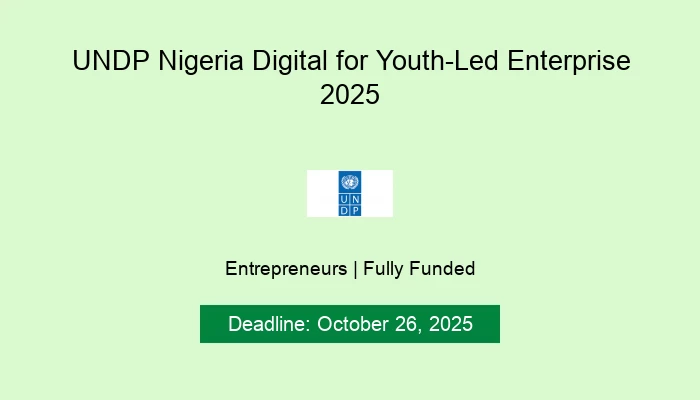 UNDP Nigeria Digital for Youth-Led Enterprise 2025