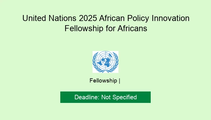 United Nations 2025 African Policy Innovation Fellowship for Africans