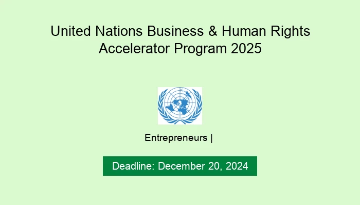 United Nations Business & Human Rights Accelerator Program 2025