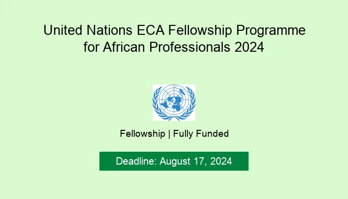 United Nations ECA Fellowship Programme for African Professionals 2024
