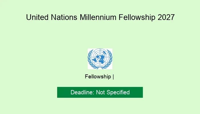 United Nations Millennium Fellowship 2027