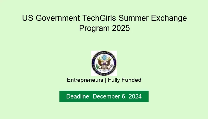 US Government TechGirls Summer Exchange Program 2025