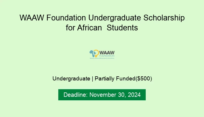 WAAW Foundation Undergraduate Scholarship for African  Students