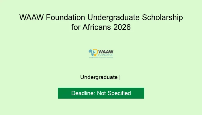 WAAW Foundation Undergraduate Scholarship for Africans 2026
