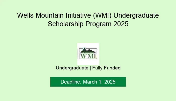 Wells Mountain Initiative (WMI) Undergraduate Scholarship Program 2025