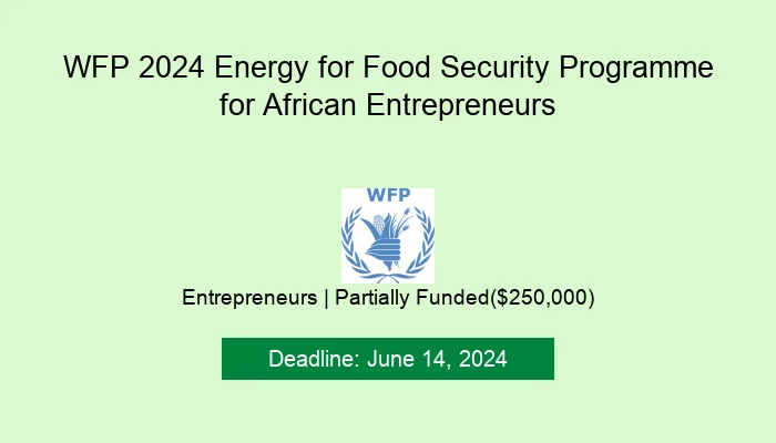 WFP 2024 Energy for Food Security Programme for African Entrepreneurs