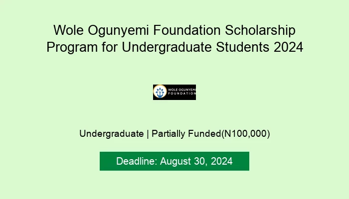 Wole Ogunyemi Foundation Scholarship Program for Undergraduate Students 2024