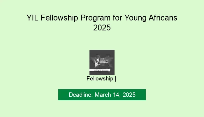 YIL Fellowship Program for Young Africans 2025
